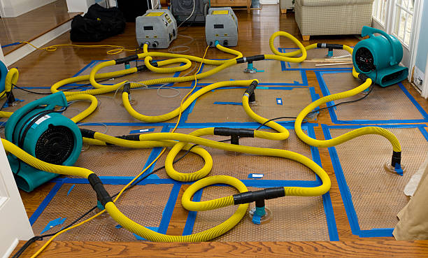 Professional Storm Water Damage Restoration technician working in New Windsor, MD